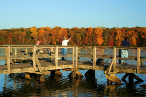 Carroll Lake Dock Fishing